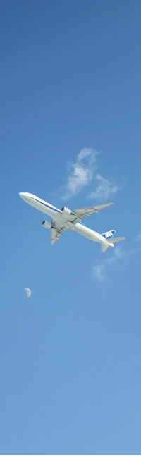 TAKE YOU TO THE SKY HIGH!