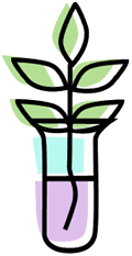 自我の芽生え